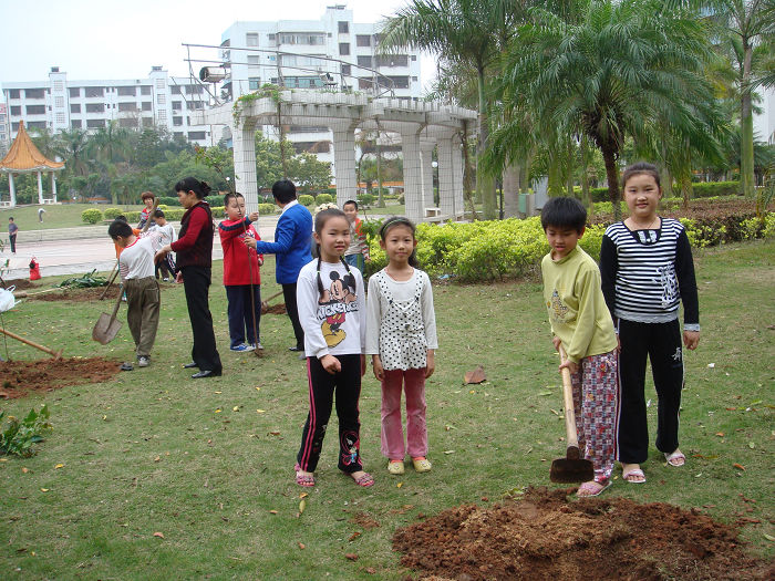 2008植树活动